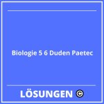 Biologie 5 6 Duden Paetec Lösungen PDF