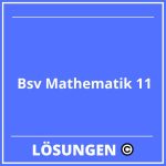 Bsv Mathematik 11 Lösungen PDF