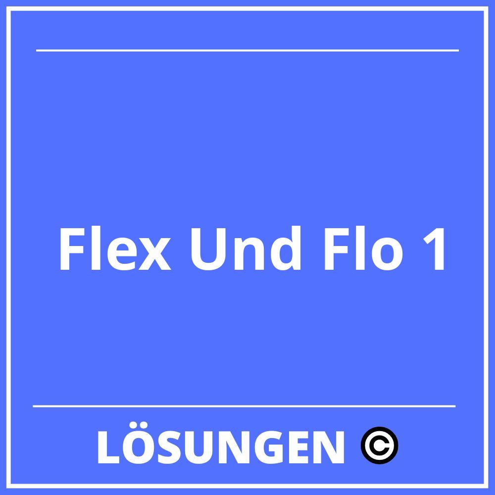 Flex Und Flo 1 Lösungen