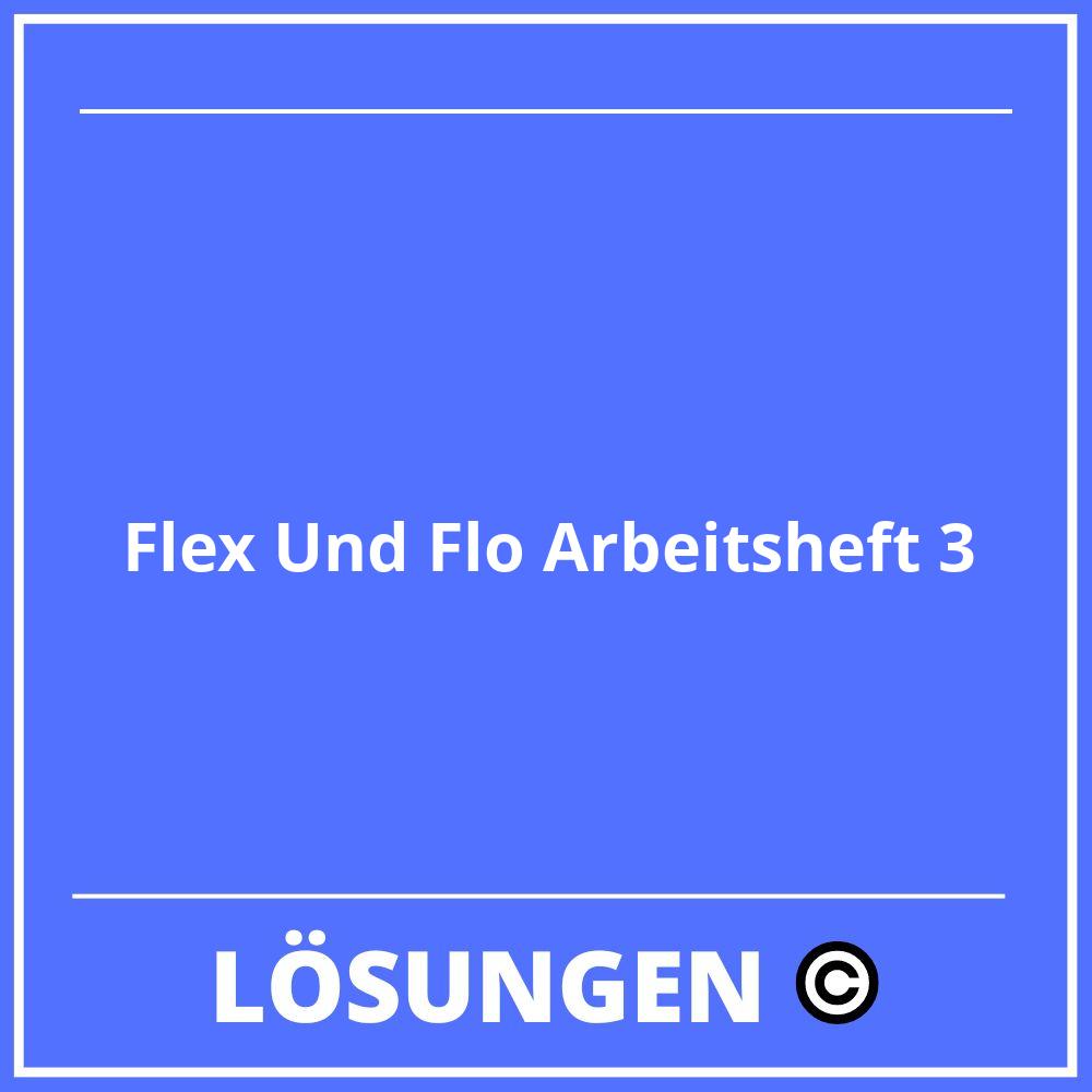 Flex Und Flo Arbeitsheft 3 Lösungen